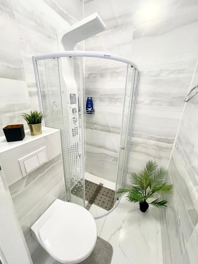 Cozy Central Studio Near Park بوخارست المظهر الخارجي الصورة